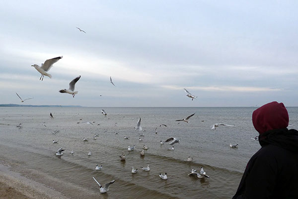 Zurück in Deutschland an der Ostsee