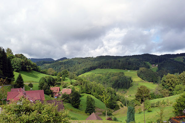 Zurück in Deutschland