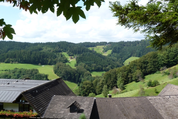 besseres Leben zurück nach deutschland