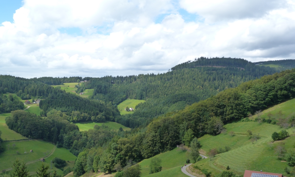 besseres Leben zurück nach deutschland