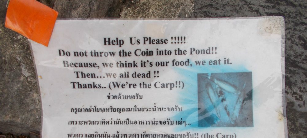 nach-der-dsgvo-titel