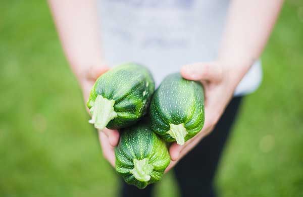 Werde Superheld als Erntehelfer